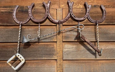 Best Slatwall Hooks for Basement Storage in 2026: 10 Picks