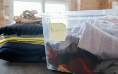 IRIS USA 4-Pack 32 Quart Storage Bins Review: What Specs and Owner Reports Reveal
