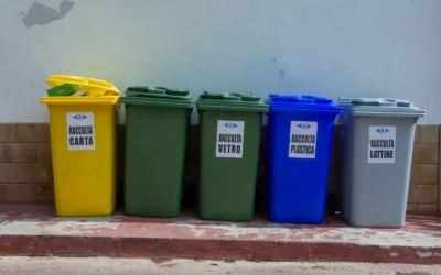 Proslat Slatwall Bin Organizer Price Guide: 7 Picks for 2026