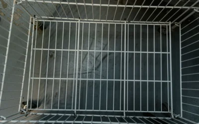 Wire Shelving Unit Won’t Stay Mounted? 5 Fixes Before You Give Up