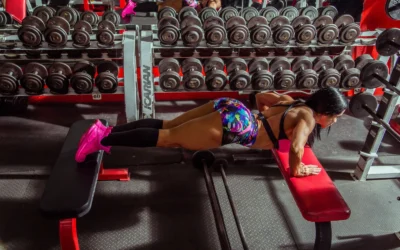 8 Folding Weight Benches on a Budget for Small Gyms 2026