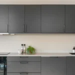 A sleek, modern kitchen with dark cabinets, minimalist design, and stylish decor.