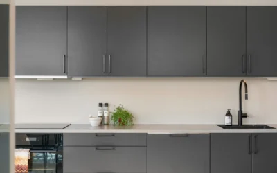 10 Best Garage Cabinets for Fall Declutter Before Winter 2026