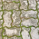 Close-up view of interlocking concrete pavement blocks with grass growing between them, Fès, Morocco.