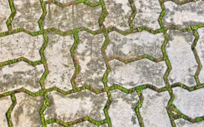 Fit-Lock 3/8 Inch Rubber Tile Review