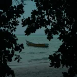 Calm ocean scene framed by leaves with a lone boat on a tranquil beach.
